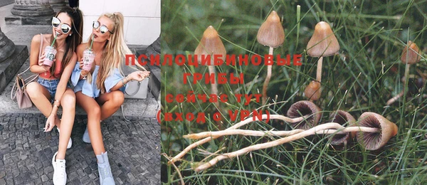 меф Арсеньев