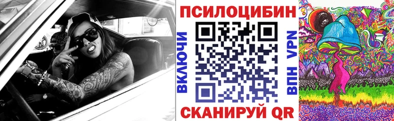 Галлюциногенные грибы Psilocybine cubensis Абакан